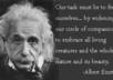 create a quote image on a specific theme for your website or FB page