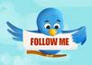 teach you the ways to increase the traffic through your twitter account small1