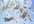 give you a Professional Law of Attraction Money Spell