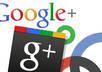 deliver 250 fans to your Google Plus page in 2 days