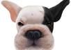 record your commercial, or personal, message on video, with Bruce, my animated cartoon dog, small1