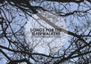 send you an high res digital copy of my debut album featuring ten delicate acoustic guitar songs