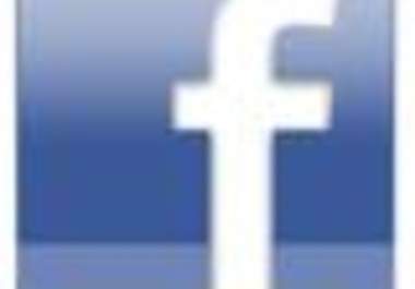 give you 250 like real and active fans to your facebook fanpages in less 24 hours no admin rights big1