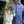 doctor_who_