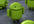 review any android app
