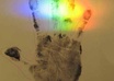 read your palm and see what FUTURE has in store for you small1
