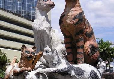 post a postcard from CATCITY,Borneo Island,Malaysia big1