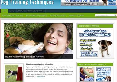 install this blog script about Dog Training big1