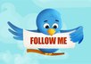 show you how to earn money without blog with your Twitter Account