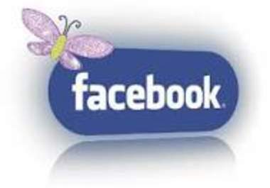 provide 550 facebook fans,no admin, 550 likes within 24 hours big1