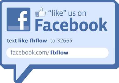 give you express 1250 facebook likes from US or European to 3 facebook fanpages with 400 to 450 likes each page within 1 day big1