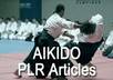 give you 28 premium PLR Aikido articles