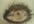 draw a portrait