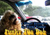 brand this funky retro 70s funny Dog driving video with your url or text message to promote your site blog product music service or business small1