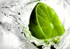 do MANUALLY 20 pr5 to pr8 social bookmarks