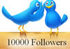 give you 10000+ twitter follower less than 24 hours without admin access