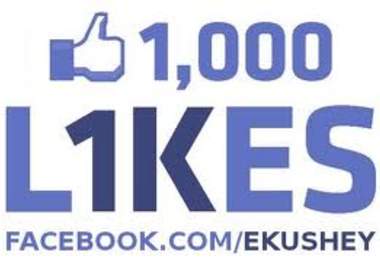 add 1400+ fans to your Facebook page, facebook fanpages without admin access in 48 hours big1