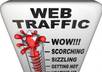 send you 5000 real human visitors to your website in 10 days