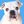 whitebulldogpv