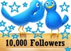 10_000_followers