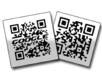 create a black and white QR code for you with your text or logo on it