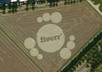 command an alien space ship to write your message in crop circles small1