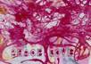 send a beautiful glossy peace and love art print Great piece of art