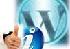give you a complete step by step video guides that will definitely solve your wordpress problems