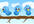 unfollow all your followers that does not follow back