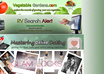 create a great header or banner static or animated +free gift