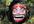 send you a video of my ogre men laugh with your promotional, message, dance, music, bussiness, video, dance video,  birthday wishes,