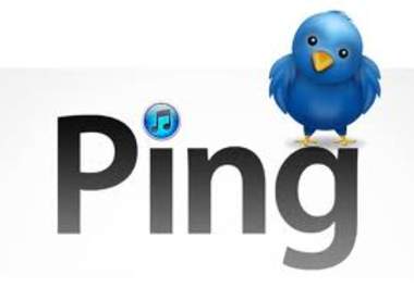 use my mass INDEXING software to ping 10 of your urls to 73 services giving you mega fast indexing big1