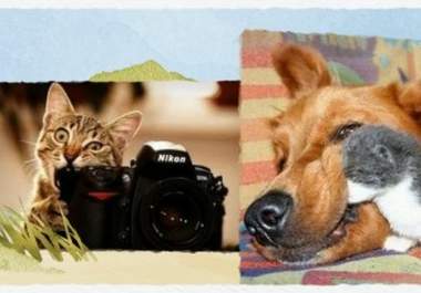 create a short and crisp video promoting your brand big1