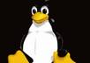 give a scanner ssh with send mail for linux