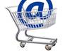show you how to create your own online shop