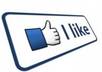 add 1000 like your facebook fanpage, with no admin access,only give me your fanpage url