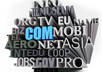 give you a List of 1000 Expired Dot Com Domain Name,How much Business owners will pay if you had the dot com of their website