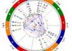 create a personal birth chart wheel