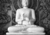 make a Buddhist chanting video for you, wearing traditional meditation outfit in front of a Buddhist alter