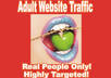 send 2000 real adult visitors to your website