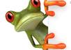 record your commercial, or personal, message on video, with Greenie, my animated cartoon frog, small1