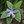 coinguy