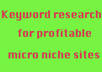 do keyword research to find you highly profitable micro niche including full report of longtails and list of most suitable domain names