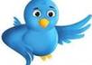 send you the get paid to tweet report so you can have advertisers pay you to tweet plus I will tweet anything you want to my 34000 followers