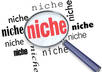 give you 10,000+ Health Related KEYWORDS Great for building Niche site With Bonus