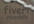 create this Beach SAND writing