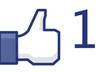 give you 200 REAL Facebook Likes in 48 hours