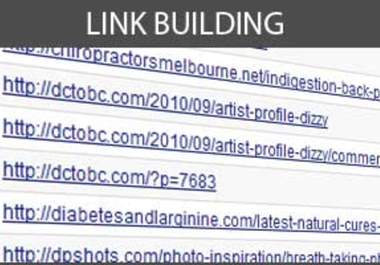give you Link Building report with strategies and analyze your link building efforts big1
