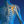 sportcare