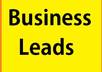 provide 100 to 300 targeted local business leads small1